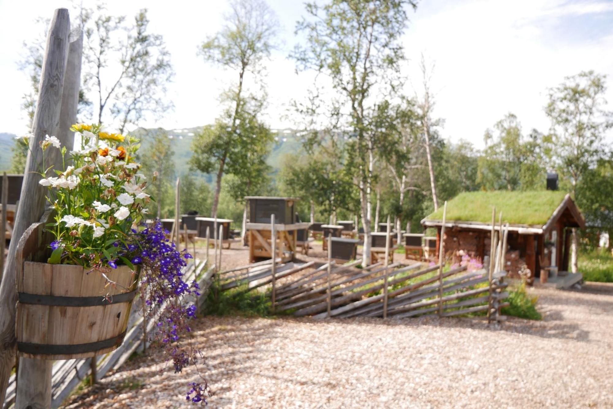 Bardu Huskylodge Zewnętrze zdjęcie