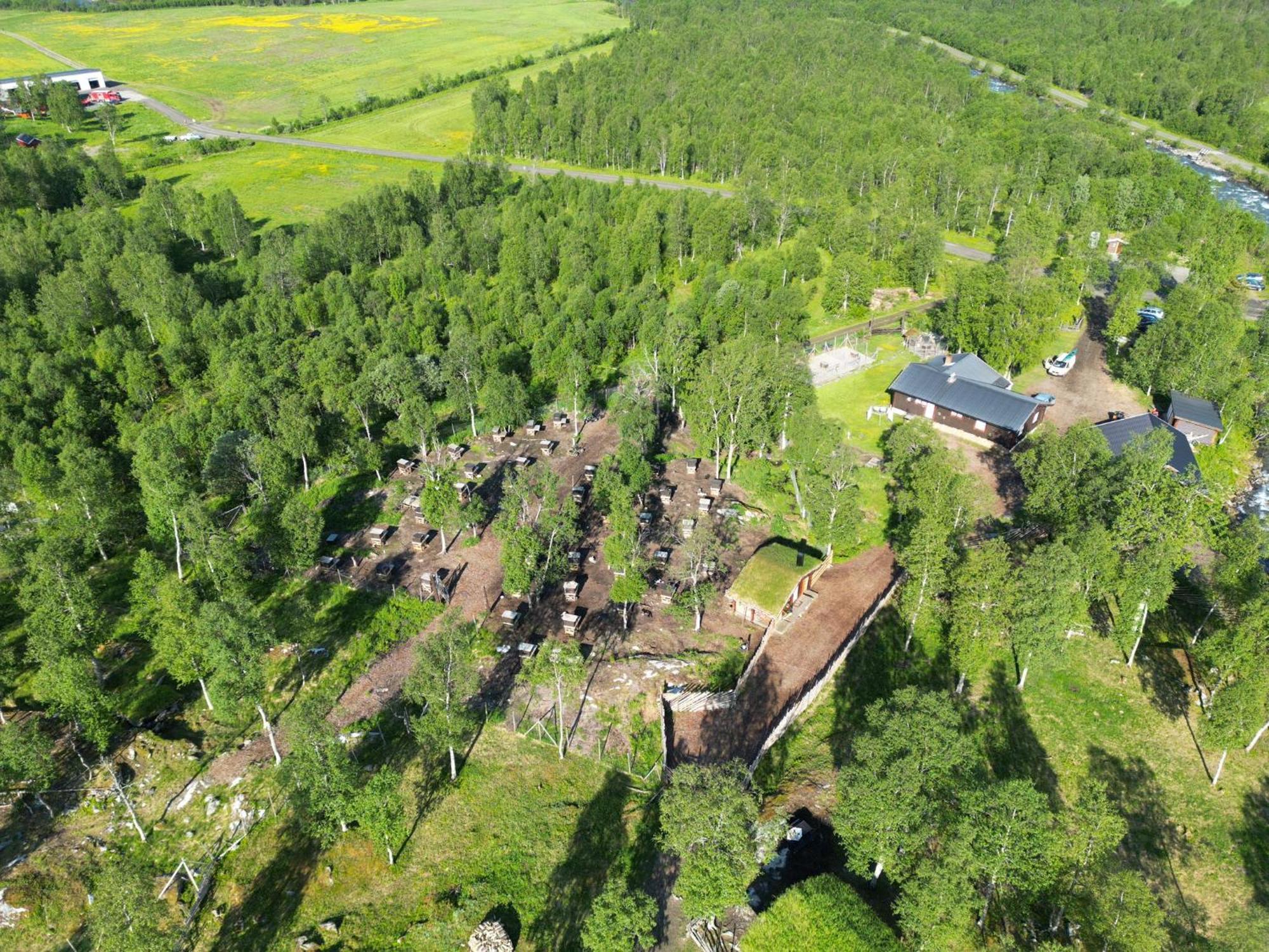 Bardu Huskylodge Zewnętrze zdjęcie