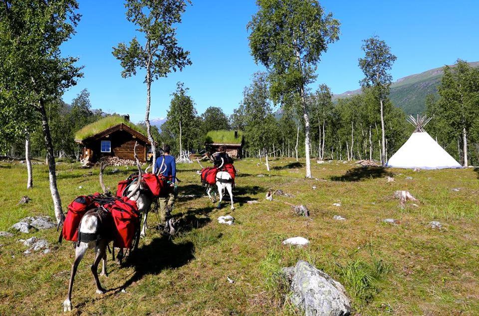 Bardu Huskylodge Zewnętrze zdjęcie