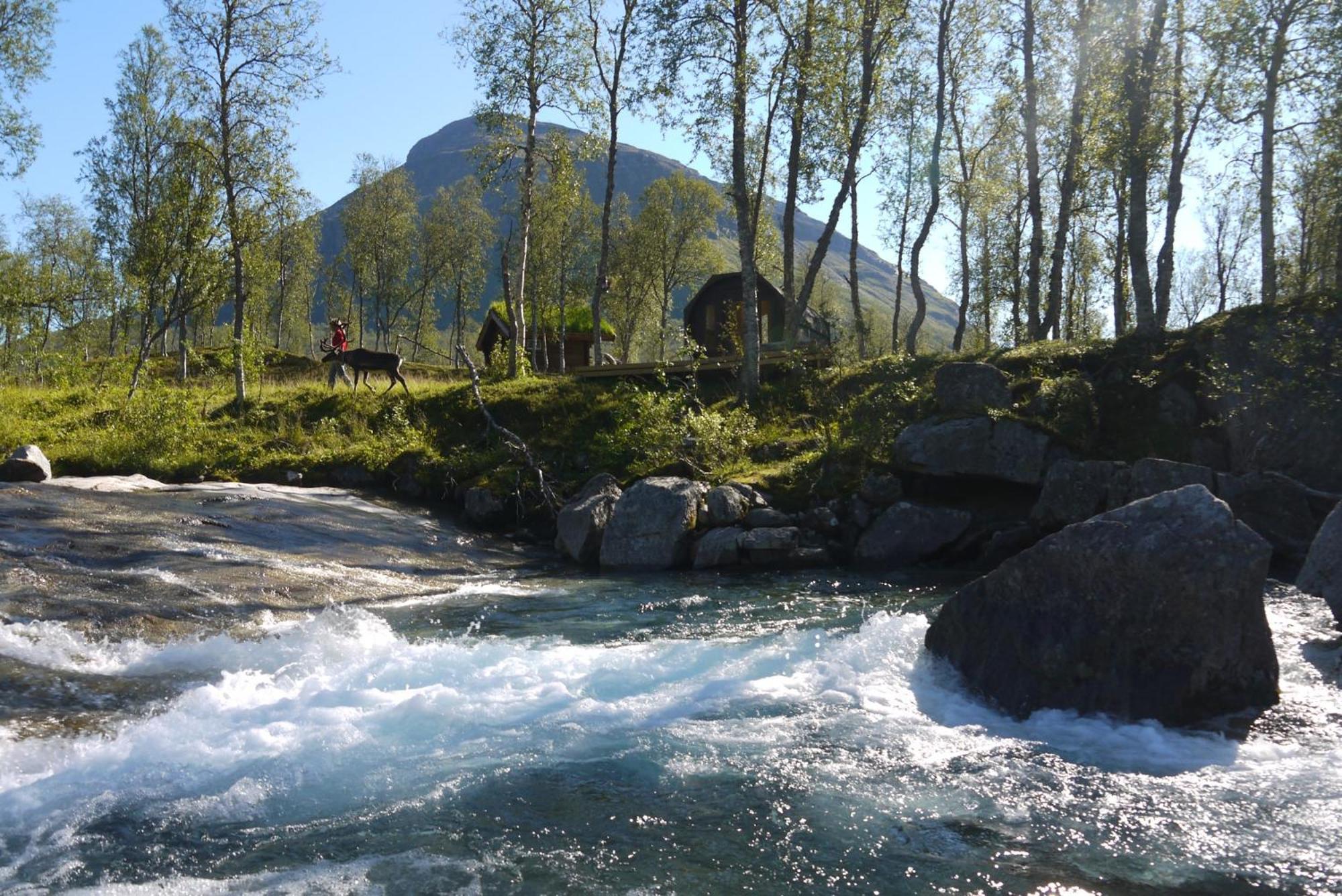 Bardu Huskylodge Zewnętrze zdjęcie
