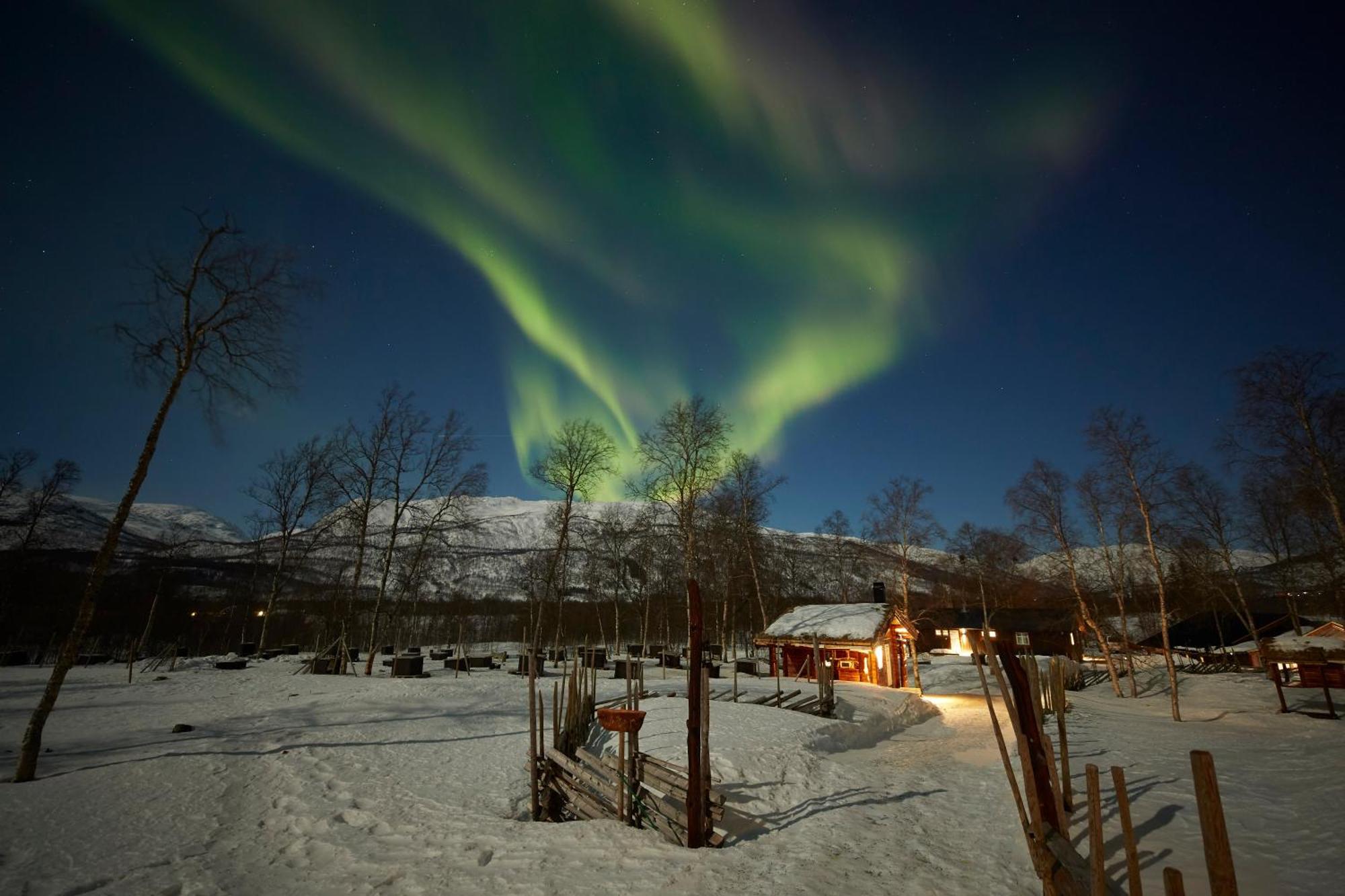 Bardu Huskylodge Zewnętrze zdjęcie