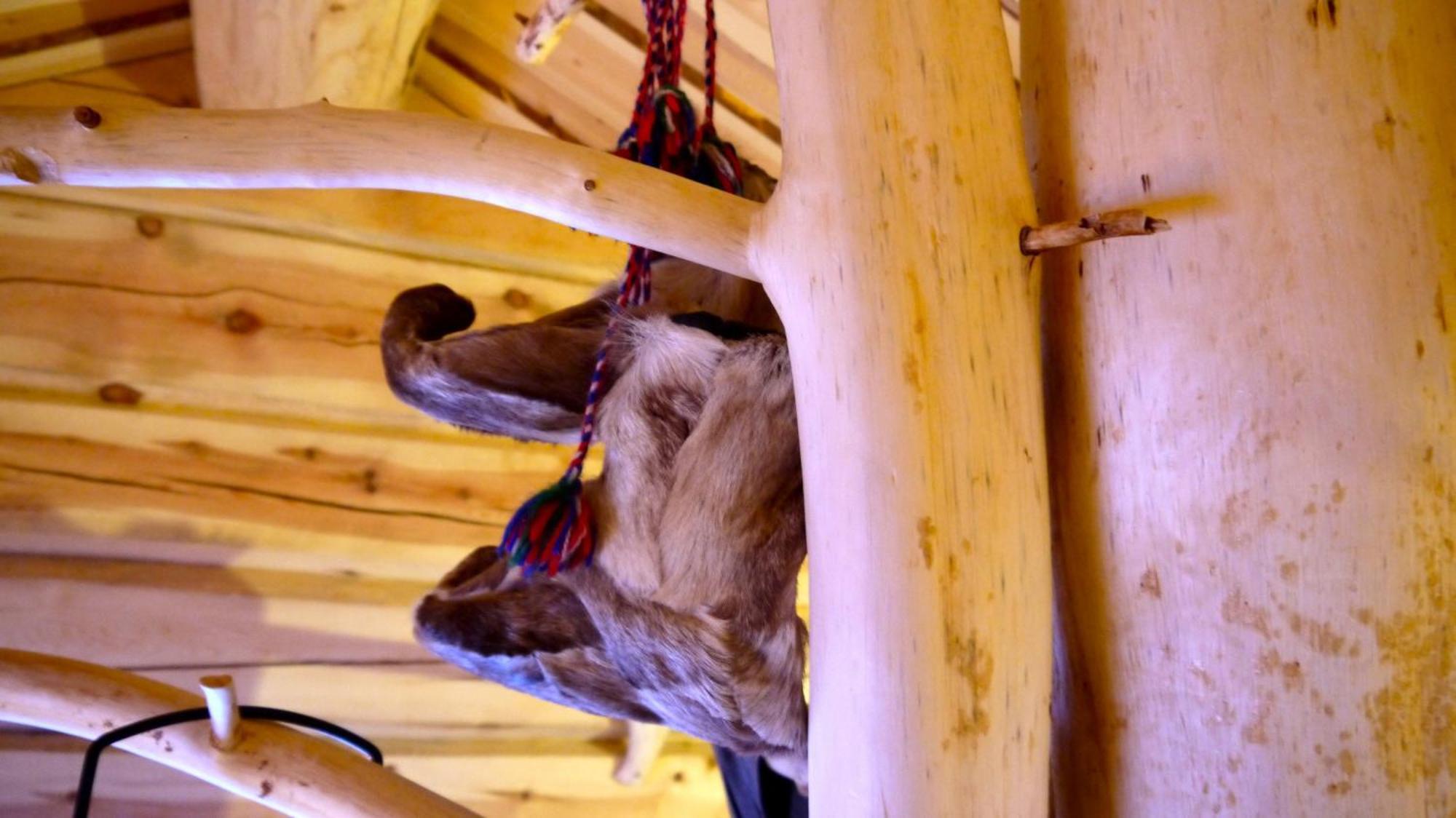 Bardu Huskylodge Zewnętrze zdjęcie