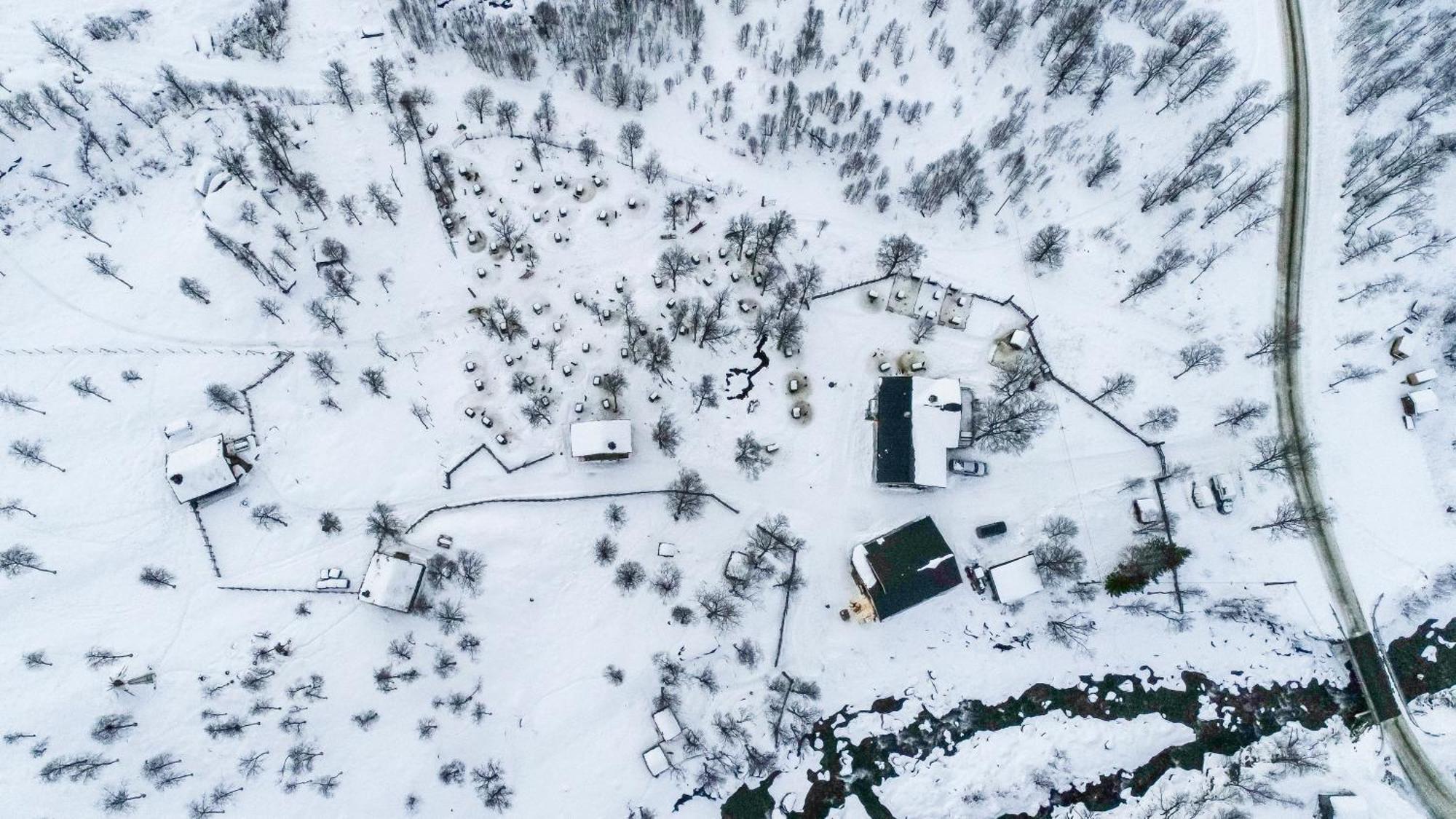 Bardu Huskylodge Zewnętrze zdjęcie